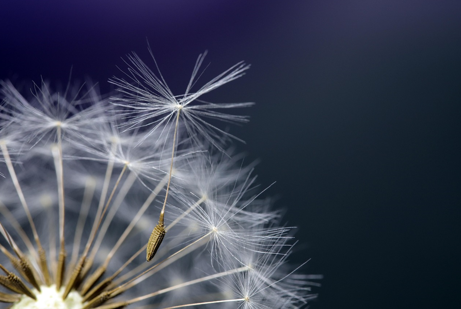 Fleeting Life Jun2024